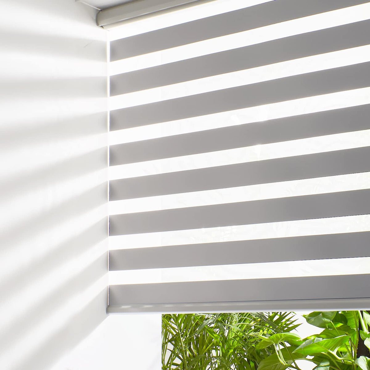 Persilux Cordless Zebra Blinds for Windows Free-Stop Window Blinds (34" W X 64" H, White) Dual Layer Light Control for Day and Night, Light Filtering Sheer Shades for Home, Bedroom, Easy to Install