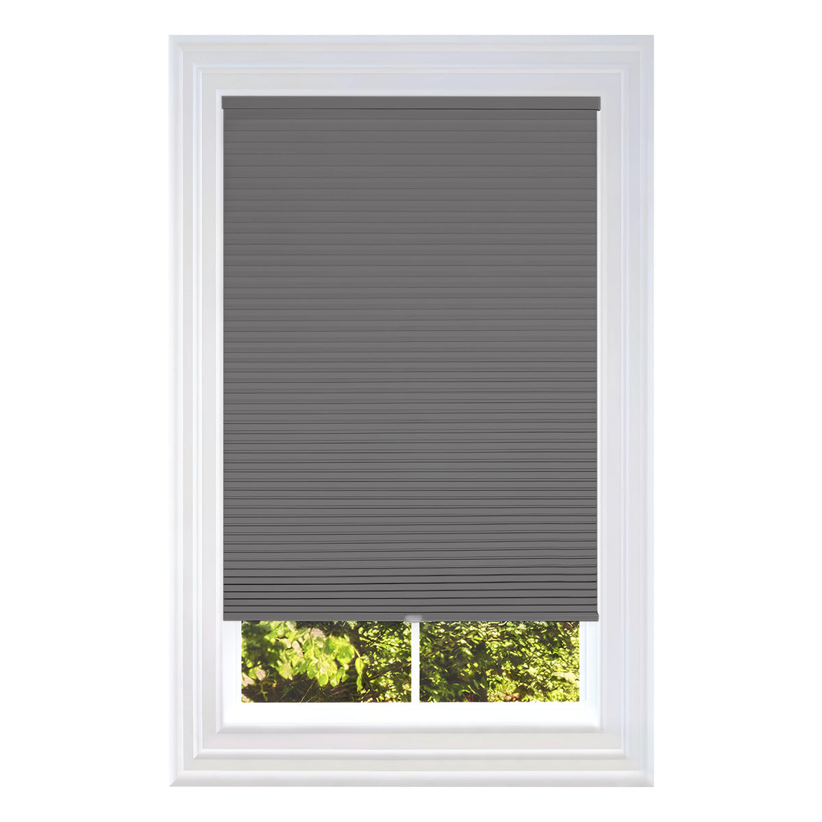 BlindsAvenue Cordless Cellular Shade, White, 30" W x 48" H