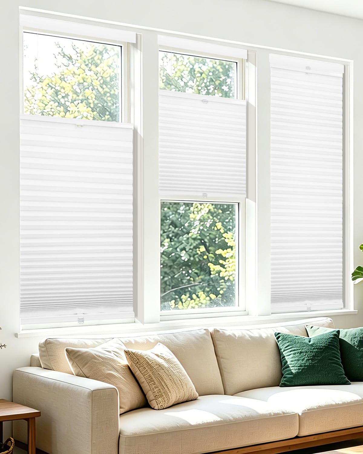 Allesin Top Down Bottom Up Cordless Cellular Shades,Thermal Insulation Honeycomb Blinds for Indoor Windows,(Clear White,35"x64")