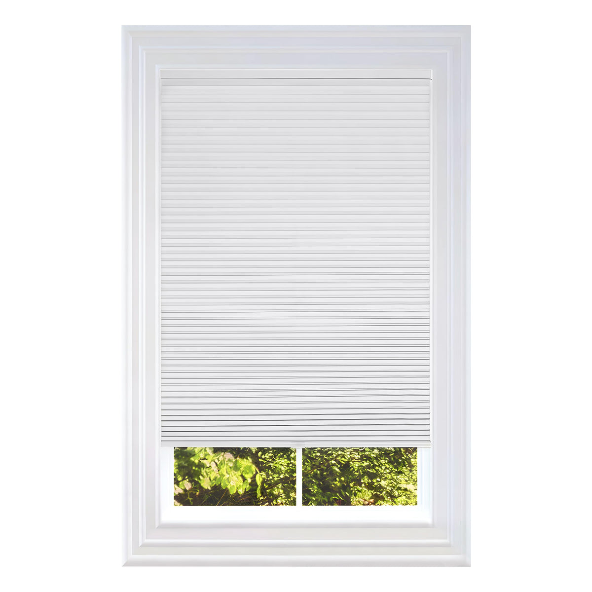 BlindsAvenue Cordless Cellular Shade, White, 30" W x 48" H