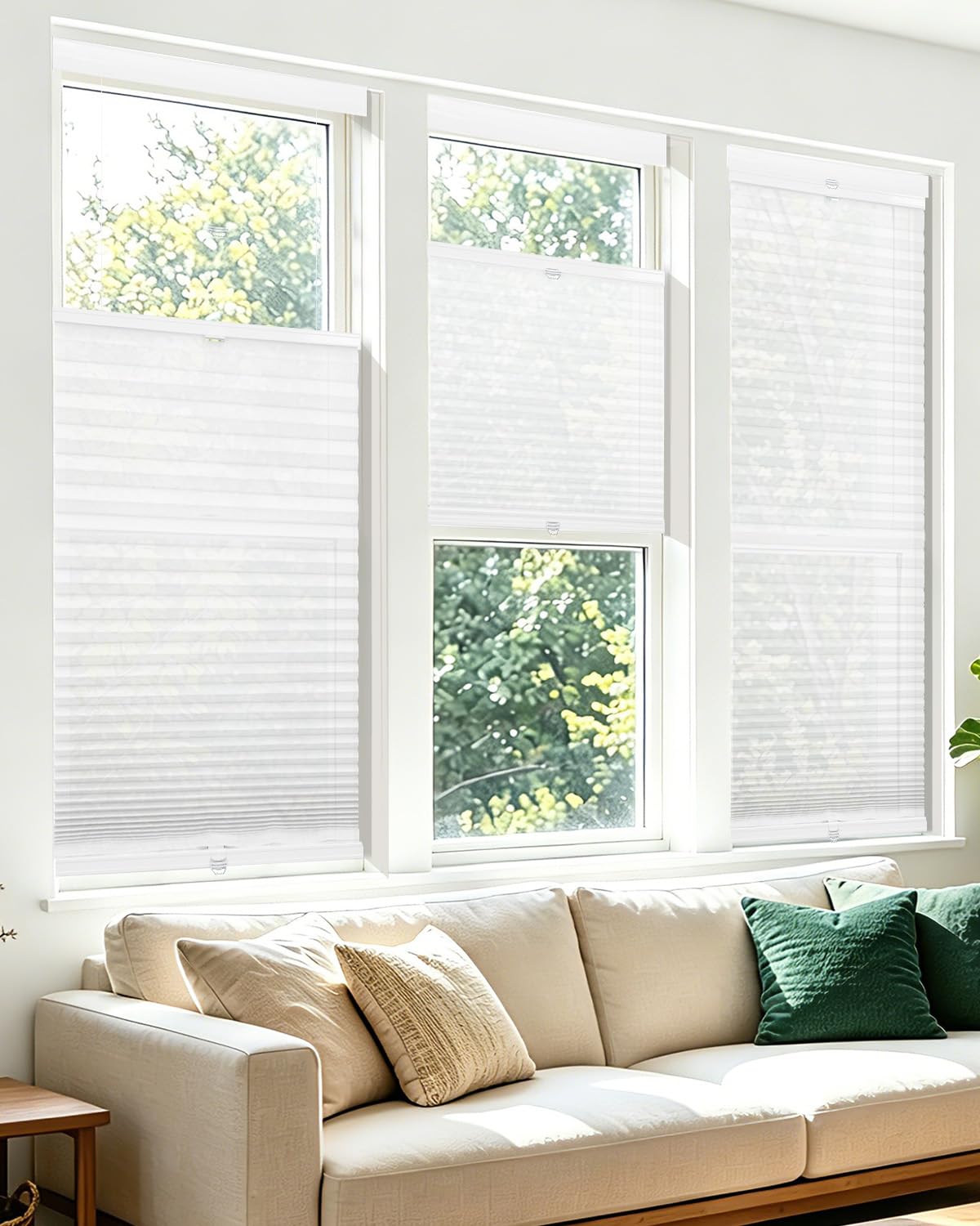 Allesin Top Down Bottom Up Cordless Cellular Shades,Thermal Insulation Honeycomb Blinds for Indoor Windows,(Clear White,35"x64")