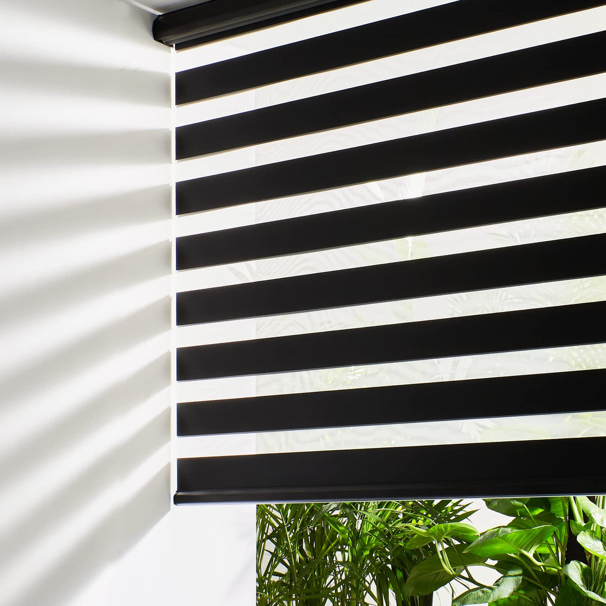 Persilux Cordless Zebra Blinds for Windows Free-Stop Roller Windows Shades (35" W X 64" H, White) Dual Layer Light Control for Day and Night, Light Filtering Sheer Shades for Home, Bedroom