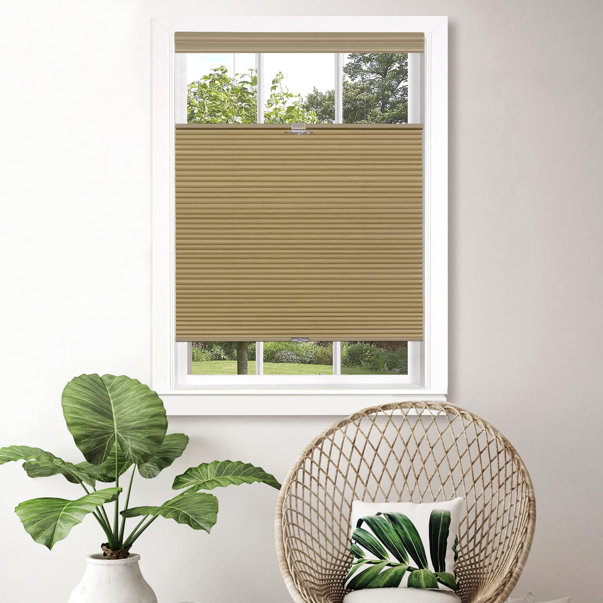 Cordless Cellular Pleated Shades, 27 x 64 in, White, Light Filtering