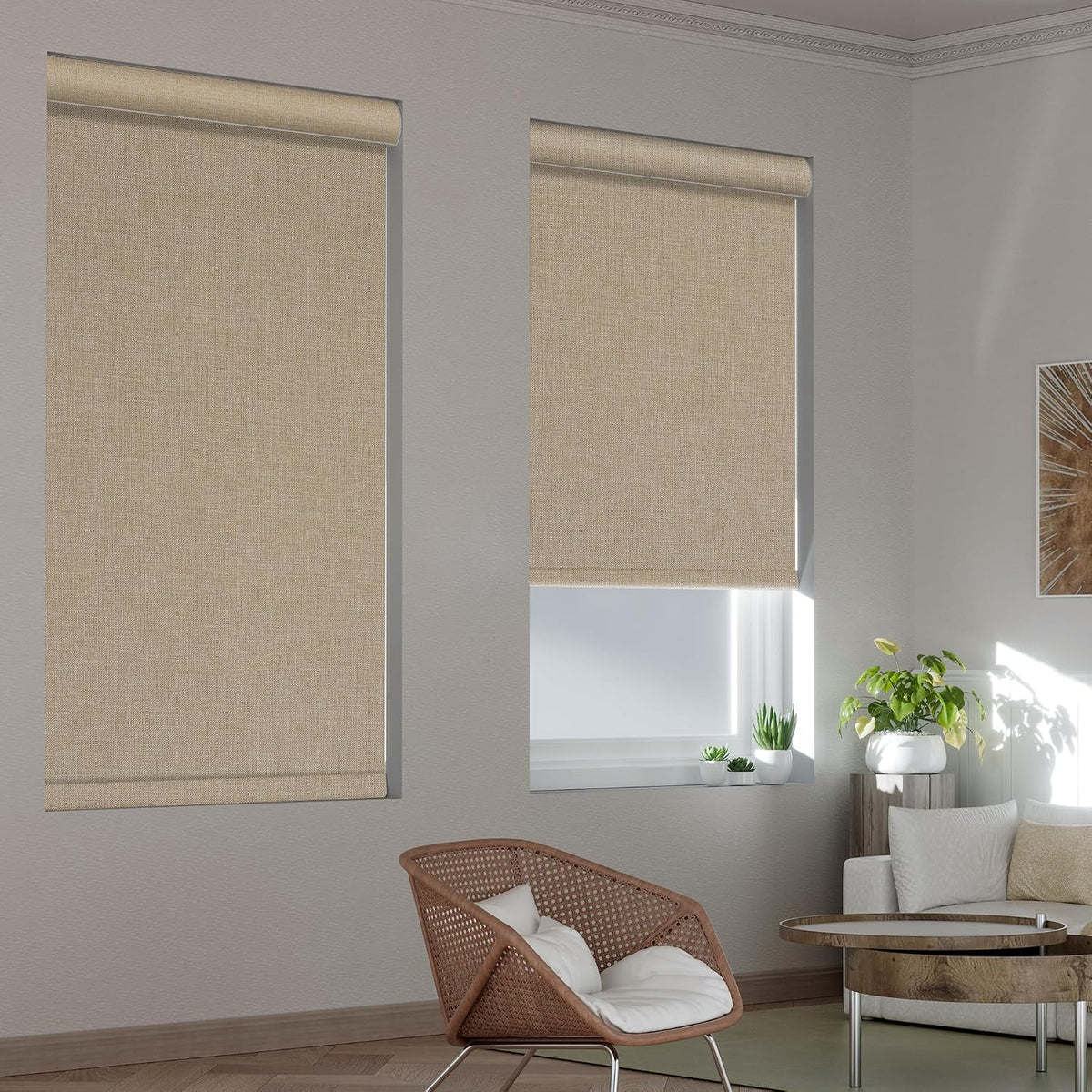 Blackout Roller Shades for Windows, Beige, Customize It