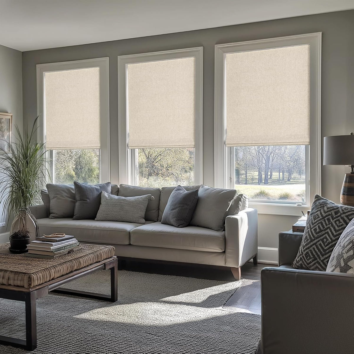 LazBlinds No Drill Cordless Roman Shades, 31'' W x 64'' H, Beige